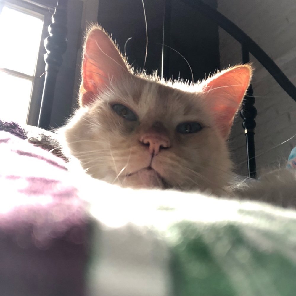 Meet your Posher, Nadja